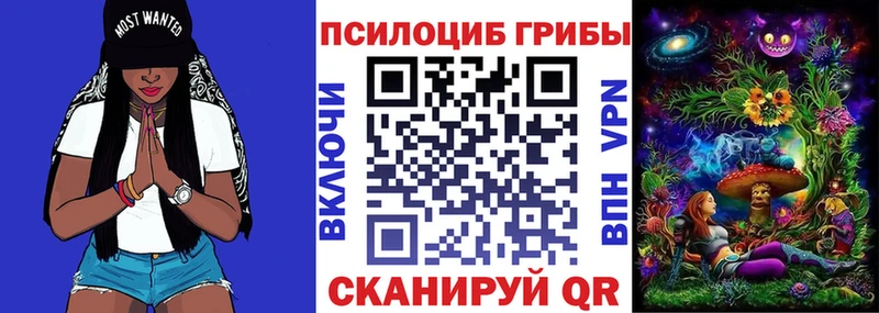 где найти Цимлянск Псилоцибиновые грибы MAGIC MUSHROOMS