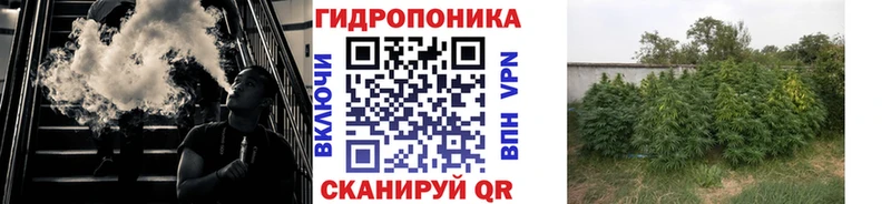 Бошки марихуана ГИДРОПОН  Цимлянск 